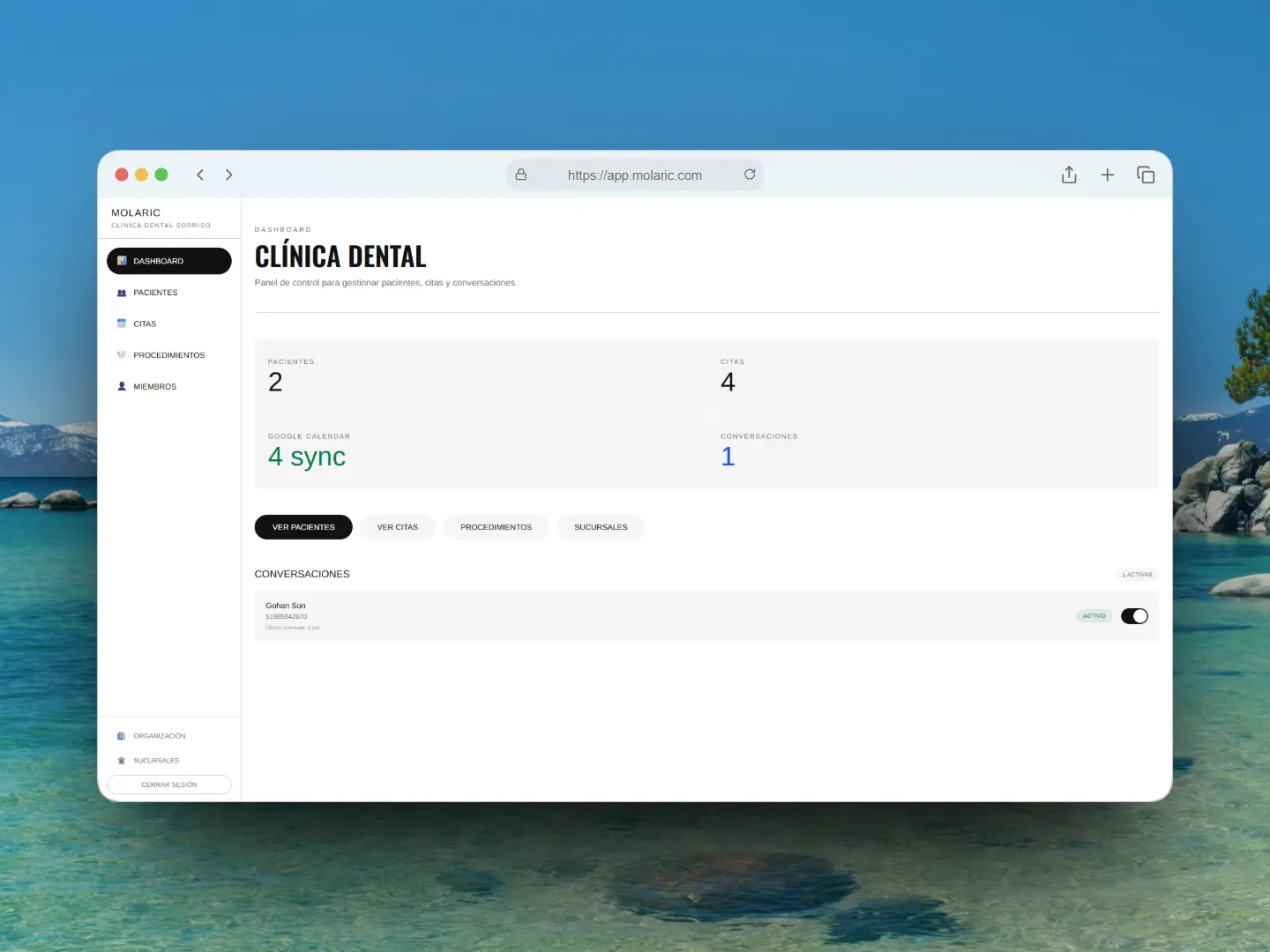 Dashboard principal de Molaric con estadísticas